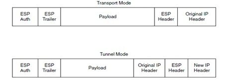 tunnel